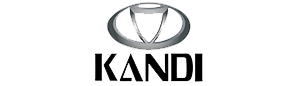 Shop Kandi Technologies For Sale at Hawg's Golf Cart & ATV